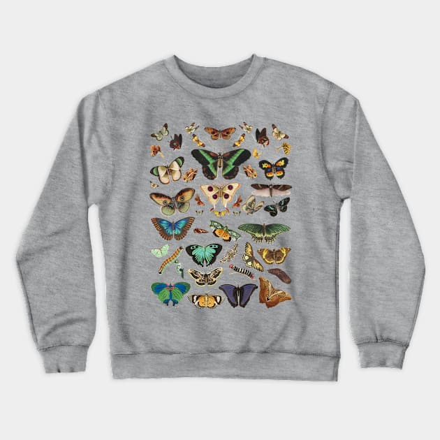 Moth cottagecore, fairycore and goblincore insect moon child Crewneck Sweatshirt by OutfittersAve